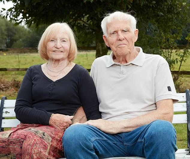 Revealed: First images of DOUBLE suicide pod which will be used to euthanise British couple – as Swiss company behind it reveals a quarter of those on their waiting list are Brits